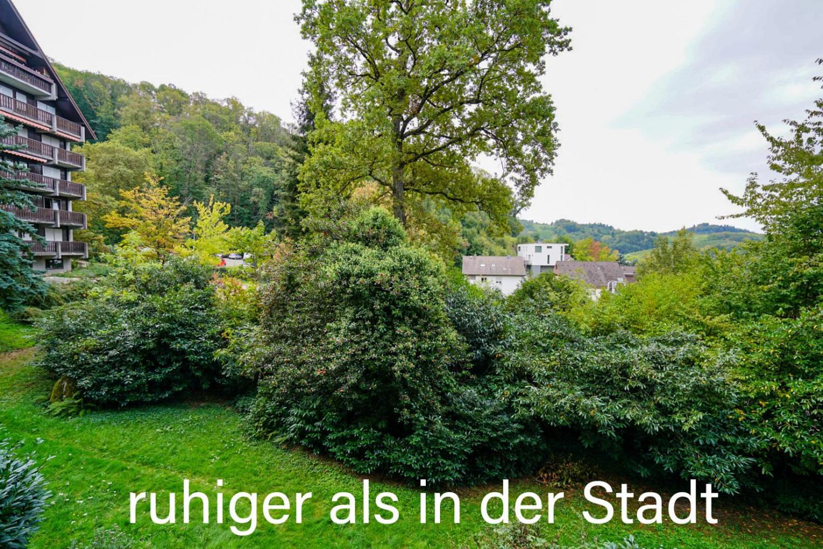 Gaishoell-Wasserfaelle Apartment Schwarzwald Sasbachwalden Buitenkant foto